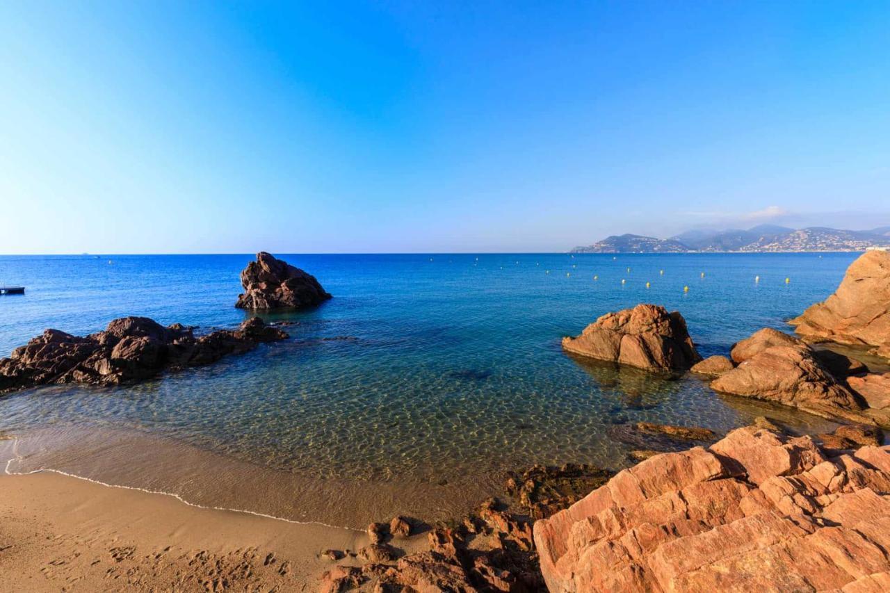 A 10 Min De La Croisette - Pieds Dans La Mer Cannes Exterior foto